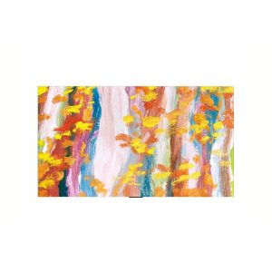 55wn960h 55in oled 3840×2160 16:9 500nit 1ms hdr10 pro hlg sp