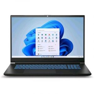 Medion erazer scout e20 gaming 17.3 i5-13420h 2.1ghz ram 16gb-ssd 512gb nvme-nvidia geforce rtx 4050 6gb-win 11 home
