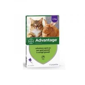 Elanco Advantage Spot-On per Gatti, Conigli e Furetti Taglia Inferiore a 4kg