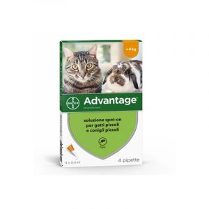 Elanco Advantage Spot-On per Gatti, Conigli e Furetti Taglia Superiore a 4kg