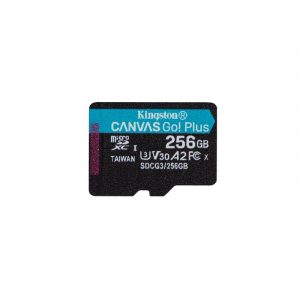 Kingston Technology Canvas Go! Plus 256 GB MicroSD UHS-I Classe 10