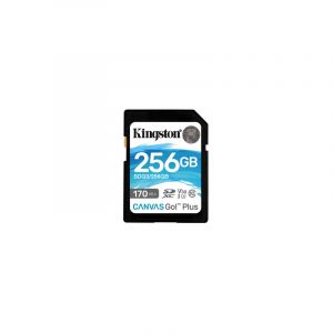 Kingston Technology Canvas Go! Plus 256 GB SD UHS-I Classe 10