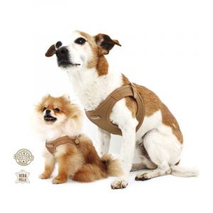 Pupakiotti Pettorina Contemporary in Pelle Marrone Taglia 5XL