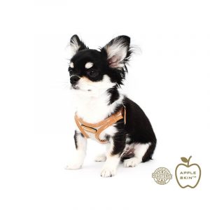 Pupakiotti Pettorina Vegan in Pelle Mela Taglia 3XL – 4XL