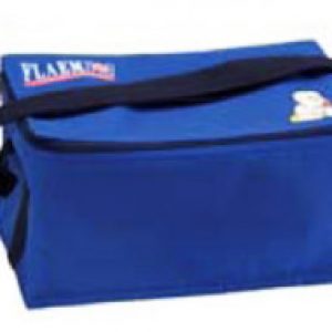 Borsa per Tiralatte Flaem E suction pump