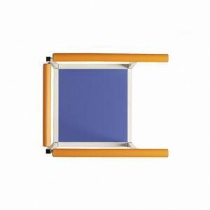 PEDANA 1 RAMPA RIABILITAZIONE