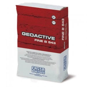 Rasante cementizio Fassa Geoactive Fine B543 rapido bianco e grigio (Sacco da 25 Kg)