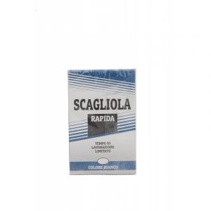 Gesso Nova scagliola bianco 1kg