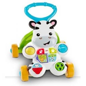 Mattel Zebra Primi Passi Spingibile, Giocattolo Elettronico Educativo Con Musica E Suoni, Per Bambini Di 6 + Mesi
