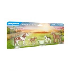 Playmobil Country 71000 action figure giocattolo