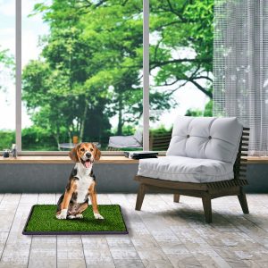 Costway Lettiera per cani WC con erba Tappetino toilette per cuccioli 51x76cm Verde