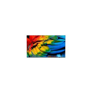 Philips 65HFL6214U/12 TV 165.1 cm (65") 4K Ultra HD Wi-Fi Antracite
