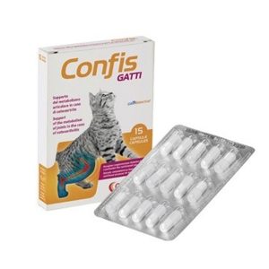 Candioli Confis Gatti