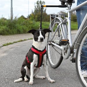 Trixie Biker Set per Cane
