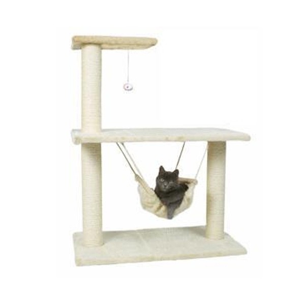 Trixie Tiragraffi Morella