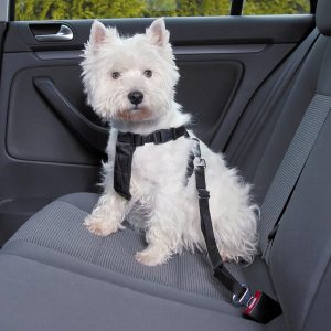 Trixie Cintura di Sicurezza per Automobile