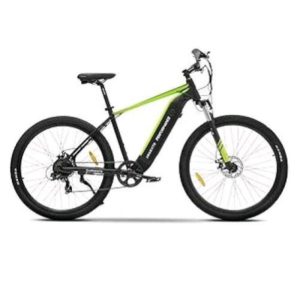 Argento performance bicicletta elettrica 250w ruote da 2.35 x 29 velocita` 25km/h autonomia 50/80 km suspension fork nero verde