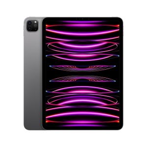 Apple ipad pro 11 2022 2.000gb wi-fi italia space gray