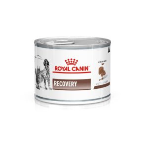 Royal Canin V-Diet Recovery per Cani e Gatti