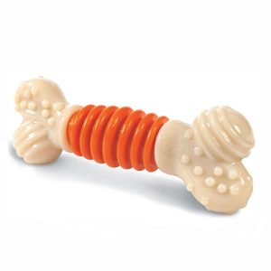 Nylabone Dental Chew Osso