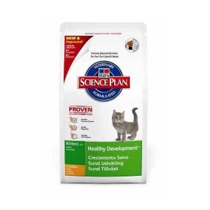 Hill’s Kitten Feline