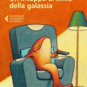 Un intoppo ai limiti della galassia