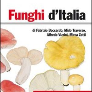 Funghi d’Italia