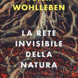 La rete invisibile della natura