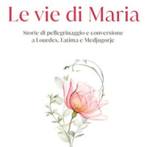 Le vie di Maria. Storie di pellegrinaggio e conversione a Lourdes, Fatima e Medjugorje