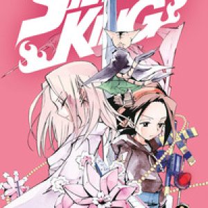 Shaman King. Final edition – Vol. 19