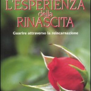 L’esperienza della rinascita. Guarire attraverso la reincarnazione