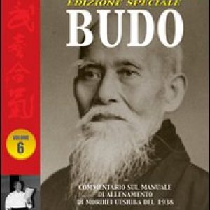 Takemusu Aikido. Commentario al manuale di allenamento di Morihei Ueshiba del 1938 Budo