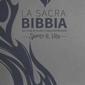 Bibbia R2. Spirito e vita. Ediz. similpelle grigio