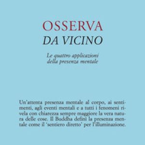 Osserva da vicino. Le quattro applicazioni della presenza mentale