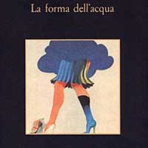 La forma dell’acqua