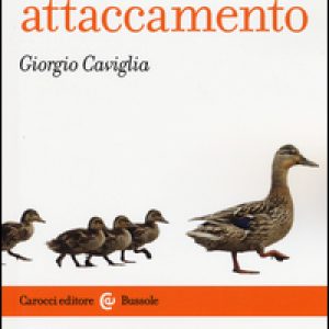 Teoria dell’attaccamento. Storia, strumenti, psicopatologia