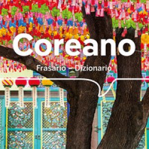 Coreano. Frasario dizionario