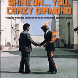 Shine on… you, crazy diamond. Viaggio virtuale all’interno di un emblema pinkfloydiano