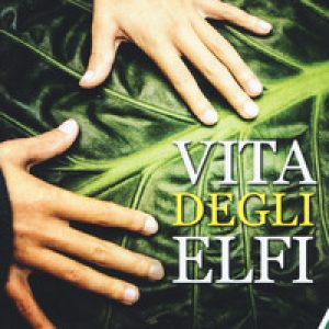 Vita degli elfi