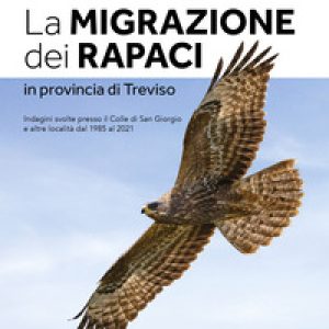 La migrazione dei rapaci in provincia di Treviso. Indagini svolte presso il Colle di San Giorgio e altre località dal 1985 al 2021