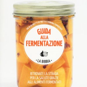 Guida alla fermentazione