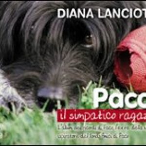 Paco, il simpatico ragazzo