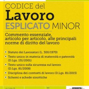 Codice del Lavoro esplicato. Commento essenziale, articolo per articolo, alle principali norme di diritto del lavoro. Minor