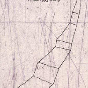 La città lontana. Poesie 1993-2009