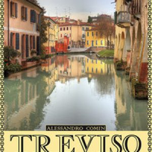 Treviso meravigliosa. Storie quotidiane della città gioiosa