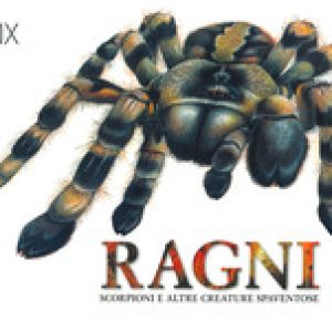 Ragni, scorpioni e altre creature spaventose