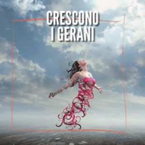 Crescono i gerani