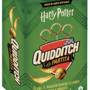 Harry Potter. Quidditch. La partita