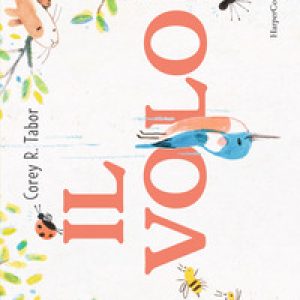 Il volo