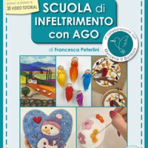 Scuola di infeltrimento con ago